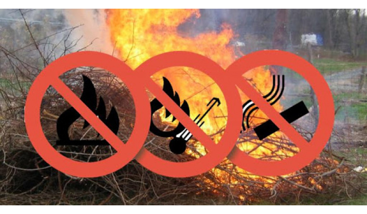 Ochrana lesov pred požiarmi v roku 2024 - informácia pre verejnosť